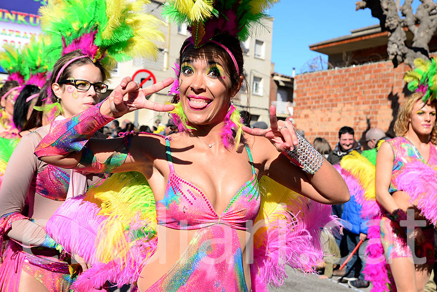 Carnaval de Santa Margarida i els Monjos 2016. Rua del Carnaval de Santa Margarida i els Monjos 2016