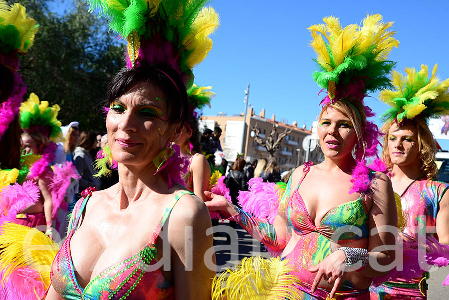 Carnaval de Santa Margarida i els Monjos 2016. Rua del Carnaval de Santa Margarida i els Monjos 2016