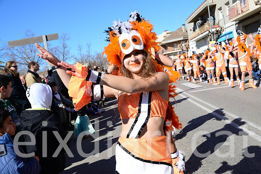 Carnaval de Santa Margarida i els Monjos 2016. Rua del Carnaval de Santa Margarida i els Monjos 2016