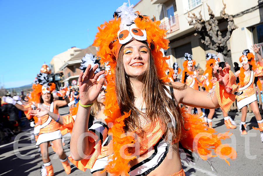 Carnaval de Santa Margarida i els Monjos 2016. Rua del Carnaval de Santa Margarida i els Monjos 2016