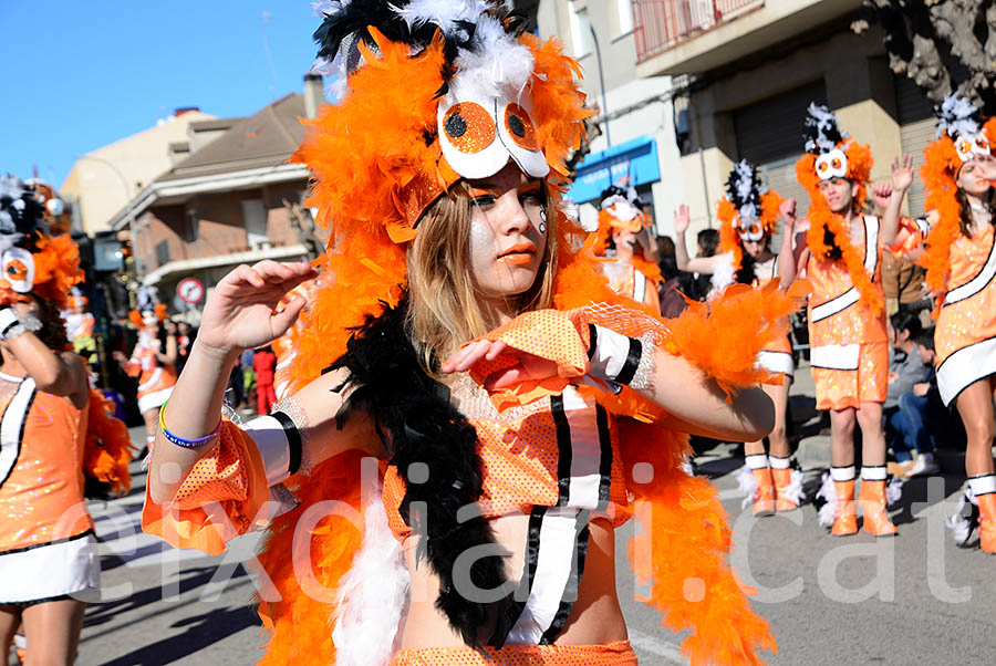 Carnaval de Santa Margarida i els Monjos 2016. Rua del Carnaval de Santa Margarida i els Monjos 2016