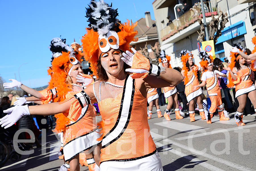 Carnaval de Santa Margarida i els Monjos 2016. Rua del Carnaval de Santa Margarida i els Monjos 2016