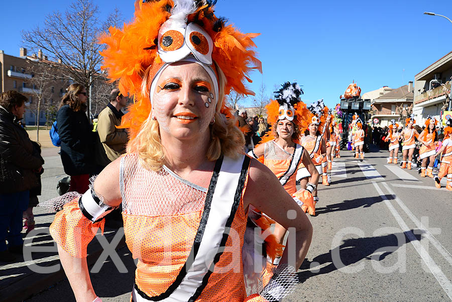 Carnaval de Santa Margarida i els Monjos 2016. Rua del Carnaval de Santa Margarida i els Monjos 2016