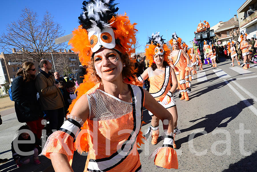 Carnaval de Santa Margarida i els Monjos 2016. Rua del Carnaval de Santa Margarida i els Monjos 2016