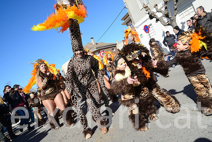 Carnaval de Santa Margarida i els Monjos 2016. Rua del Carnaval de Santa Margarida i els Monjos 2016