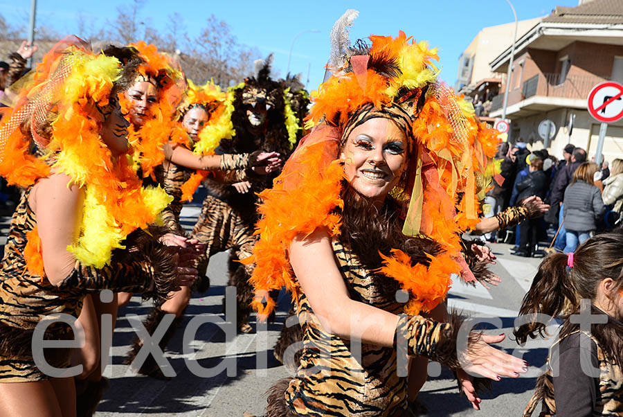 Carnaval de Santa Margarida i els Monjos 2016. Rua del Carnaval de Santa Margarida i els Monjos 2016