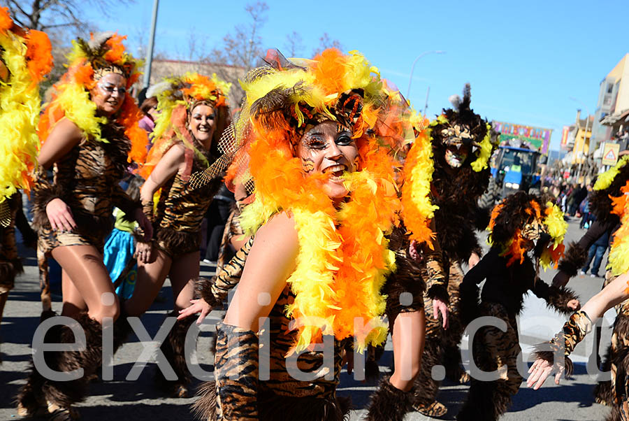 Carnaval de Santa Margarida i els Monjos 2016. Rua del Carnaval de Santa Margarida i els Monjos 2016