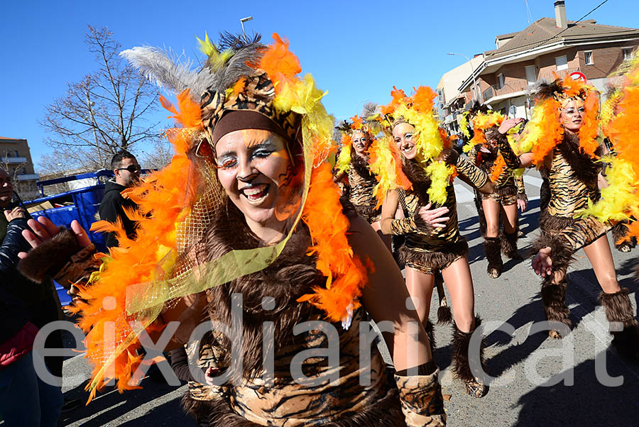 Carnaval de Santa Margarida i els Monjos 2016. Rua del Carnaval de Santa Margarida i els Monjos 2016