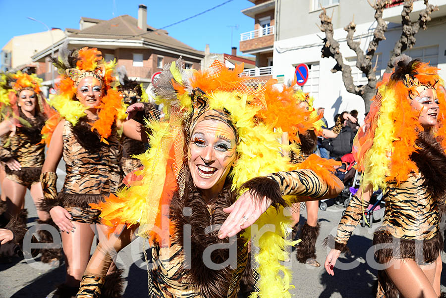 Carnaval de Santa Margarida i els Monjos 2016. Rua del Carnaval de Santa Margarida i els Monjos 2016