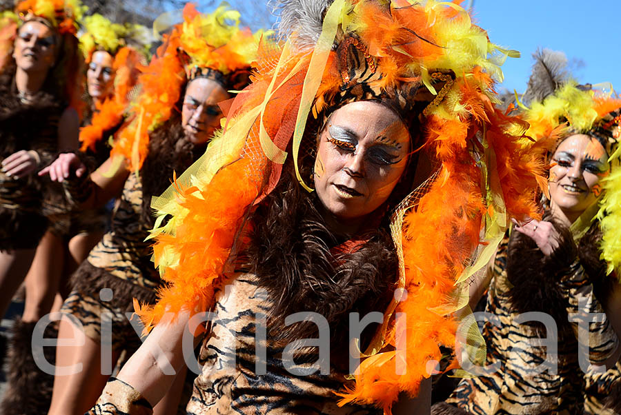 Carnaval de Santa Margarida i els Monjos 2016. Rua del Carnaval de Santa Margarida i els Monjos 2016