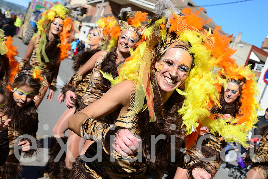 Carnaval de Santa Margarida i els Monjos 2016. Rua del Carnaval de Santa Margarida i els Monjos 2016