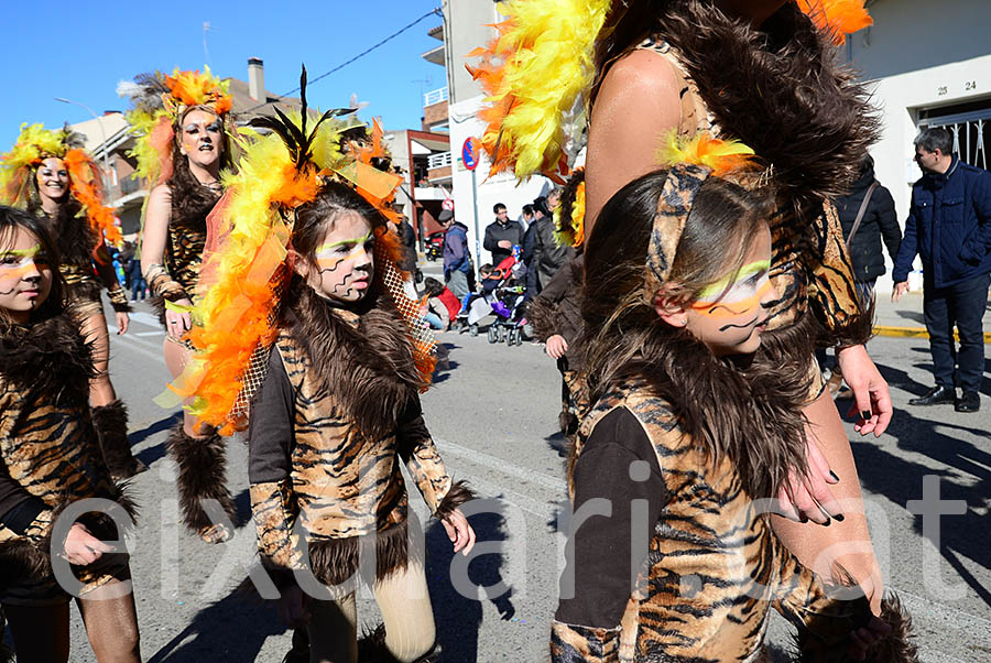 Carnaval de Santa Margarida i els Monjos 2016. Rua del Carnaval de Santa Margarida i els Monjos 2016