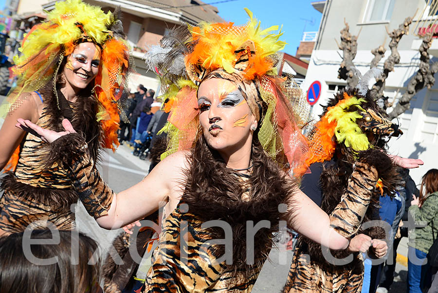 Carnaval de Santa Margarida i els Monjos 2016. Rua del Carnaval de Santa Margarida i els Monjos 2016