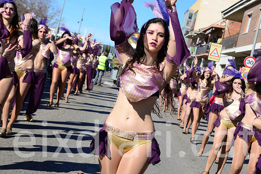 Carnaval de Santa Margarida i els Monjos 2016. Rua del Carnaval de Santa Margarida i els Monjos 2016