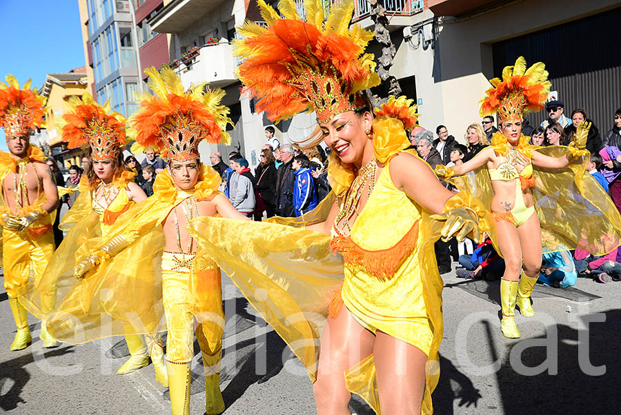 Carnaval de Santa Margarida i els Monjos 2016. Rua del Carnaval de Santa Margarida i els Monjos 2016