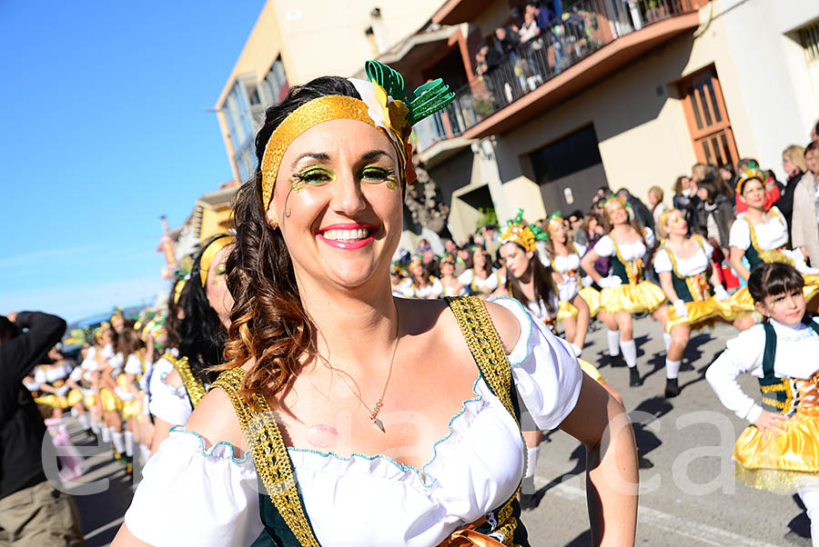 Carnaval de Santa Margarida i els Monjos 2016. Rua del Carnaval de Santa Margarida i els Monjos 2016