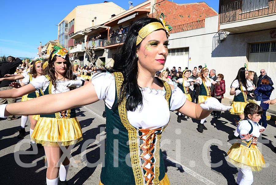 Carnaval de Santa Margarida i els Monjos 2016. Rua del Carnaval de Santa Margarida i els Monjos 2016