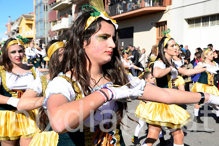 Carnaval de Santa Margarida i els Monjos 2016. Rua del Carnaval de Santa Margarida i els Monjos 2016