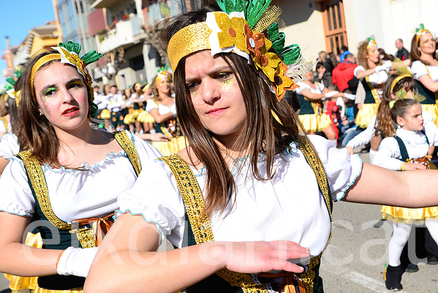 Carnaval de Santa Margarida i els Monjos 2016. Rua del Carnaval de Santa Margarida i els Monjos 2016