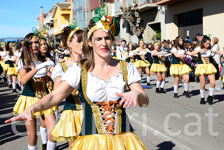 Carnaval de Santa Margarida i els Monjos 2016. Rua del Carnaval de Santa Margarida i els Monjos 2016