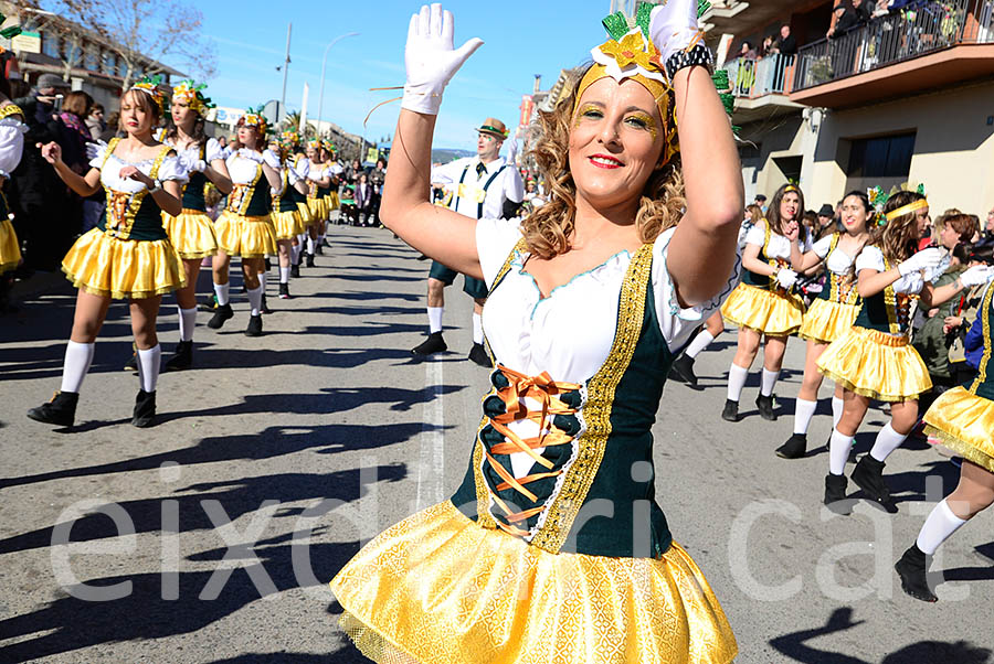 Carnaval de Santa Margarida i els Monjos 2016. Rua del Carnaval de Santa Margarida i els Monjos 2016