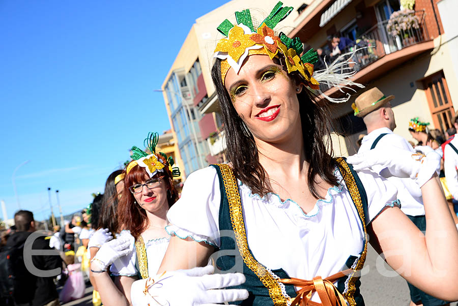 Carnaval de Santa Margarida i els Monjos 2016. Rua del Carnaval de Santa Margarida i els Monjos 2016