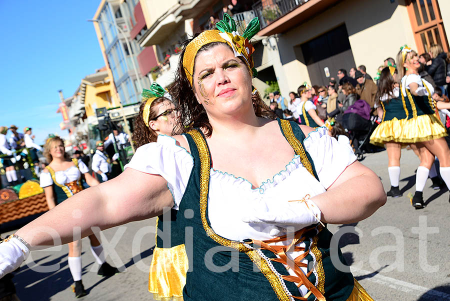 Carnaval de Santa Margarida i els Monjos 2016. Rua del Carnaval de Santa Margarida i els Monjos 2016