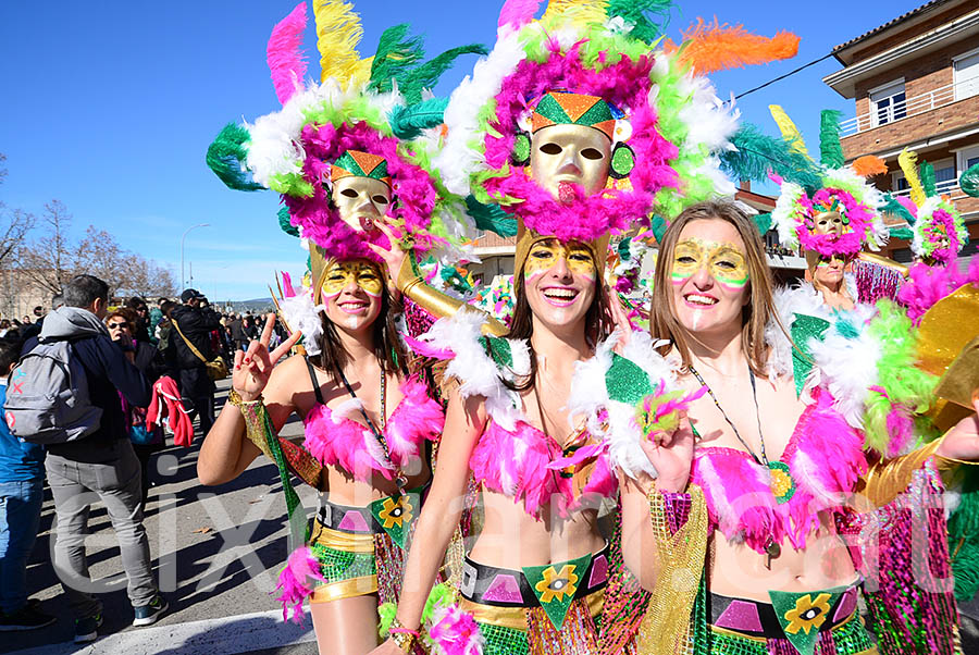 Carnaval de Santa Margarida i els Monjos 2016. Rua del Carnaval de Santa Margarida i els Monjos 2016