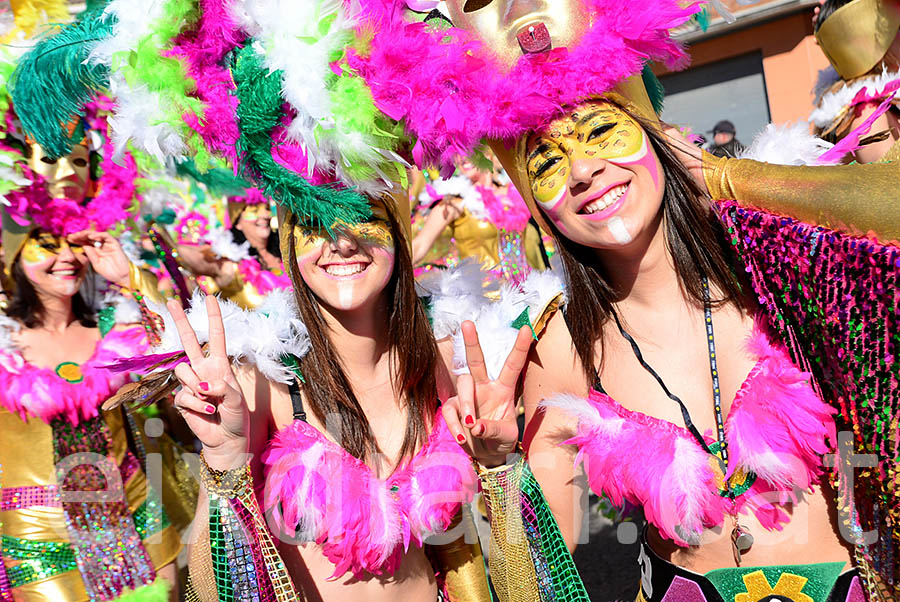 Carnaval de Santa Margarida i els Monjos 2016. Rua del Carnaval de Santa Margarida i els Monjos 2016