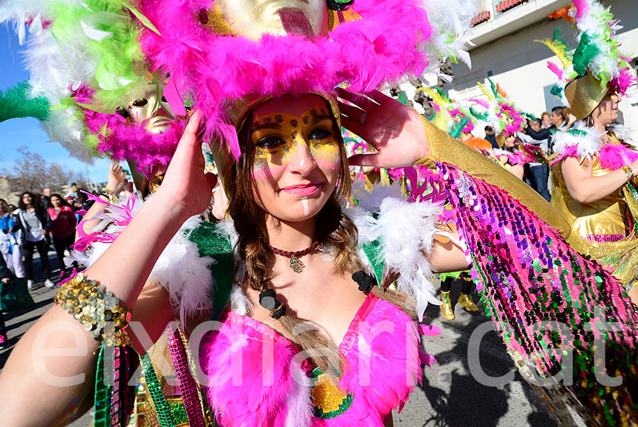 Carnaval de Santa Margarida i els Monjos 2016. Rua del Carnaval de Santa Margarida i els Monjos 2016