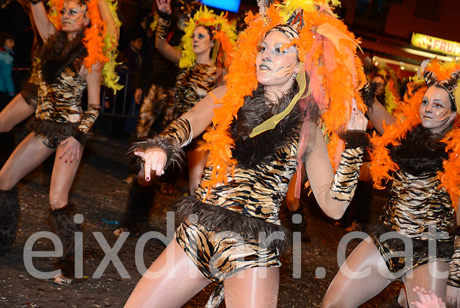 Carnaval de Les Roquetes del Garraf 2016. Rua del Carnaval de Les Roquetes del Garraf 2016