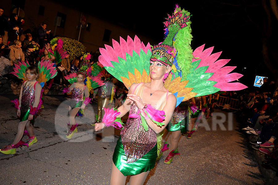 Rua del Carnaval de Cunit 2017 (III)