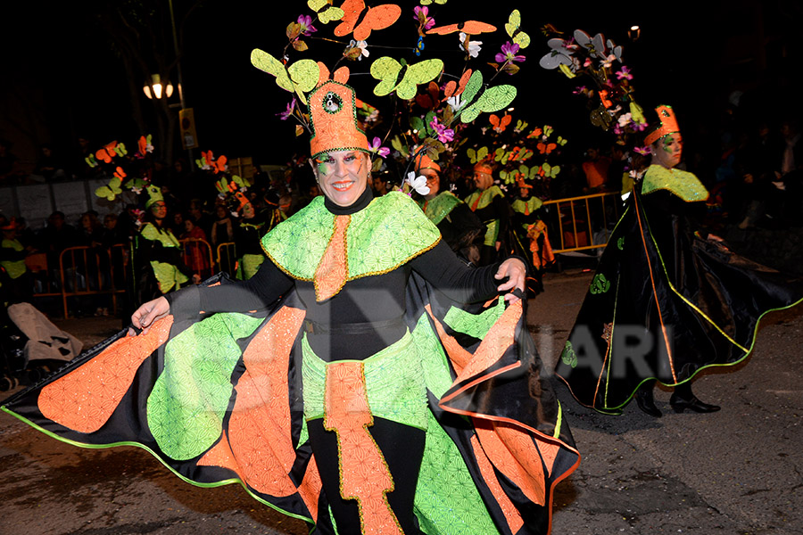 Rua del Carnaval de Cunit 2017 (III)