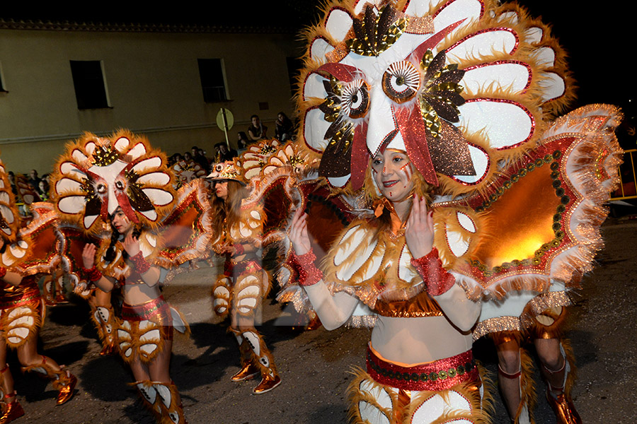 Rua del Carnaval de Cunit 2017 (III)