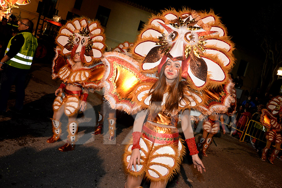 Rua del Carnaval de Cunit 2017 (III)