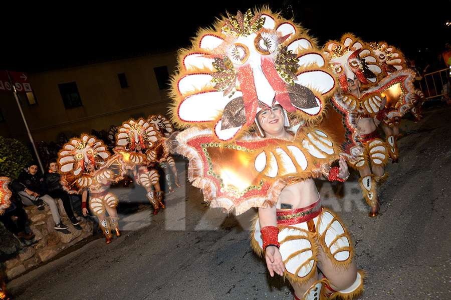 Rua del Carnaval de Cunit 2017 (III)