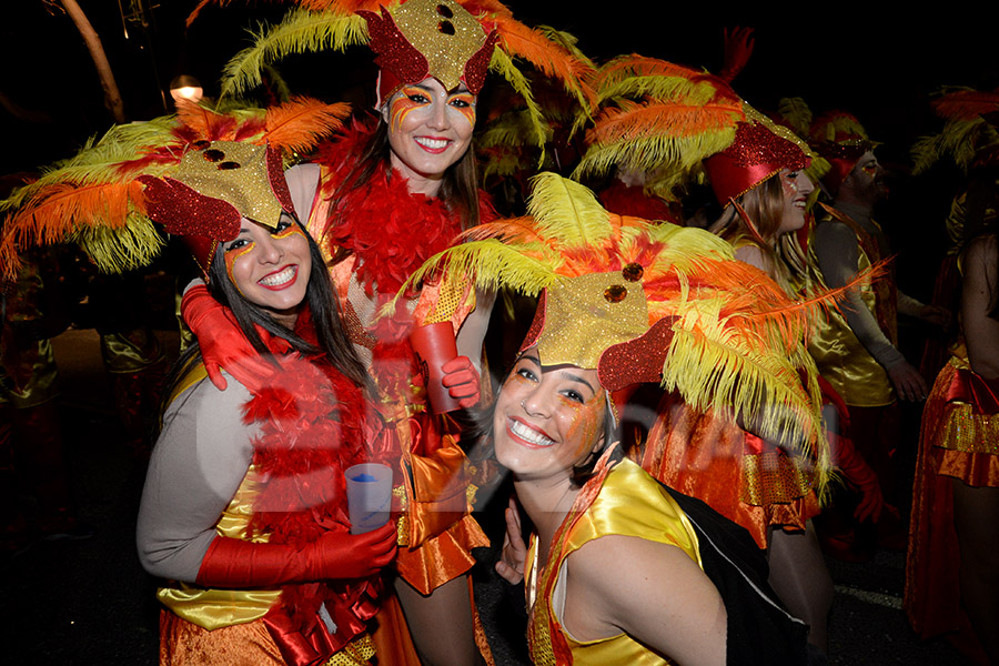 Rua del Carnaval de Cunit 2017 (I)