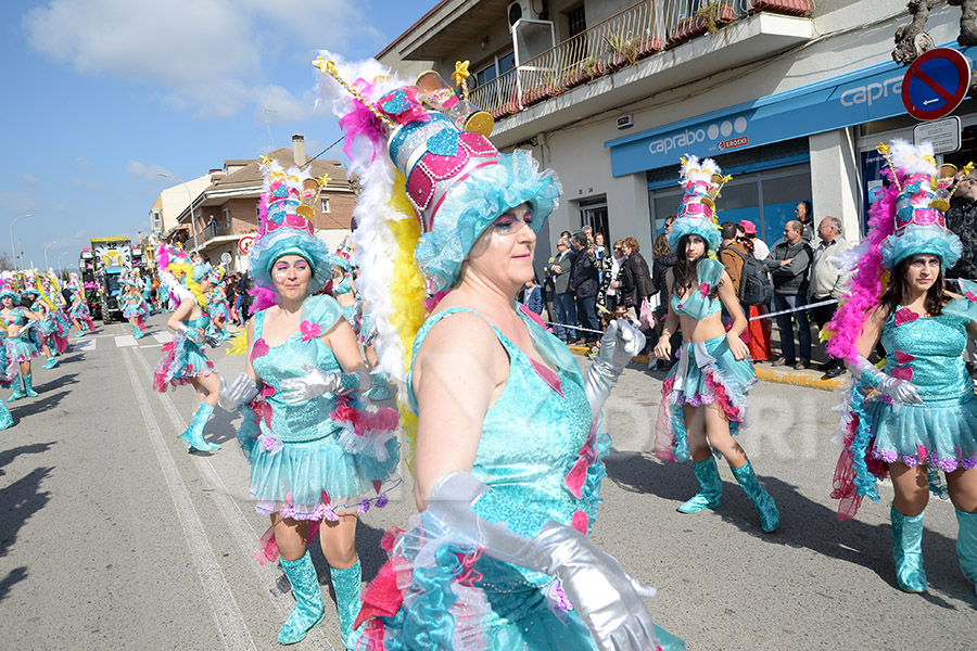 Rua del Carnaval de Santa Margarida i els Monjos 2017. Rua del Carnaval de Santa Margarida i els Monjos 2017