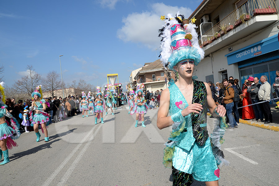 Rua del Carnaval de Santa Margarida i els Monjos 2017. Rua del Carnaval de Santa Margarida i els Monjos 2017