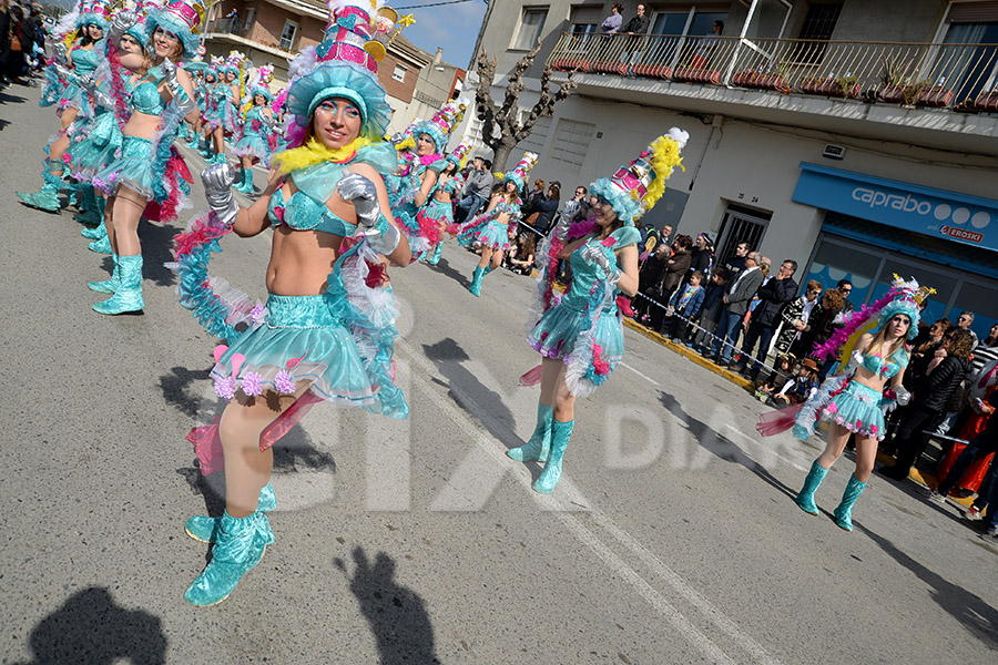 Rua del Carnaval de Santa Margarida i els Monjos 2017. Rua del Carnaval de Santa Margarida i els Monjos 2017