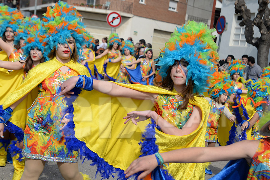 Rua del Carnaval de Santa Margarida i els Monjos 2017. Rua del Carnaval de Santa Margarida i els Monjos 2017