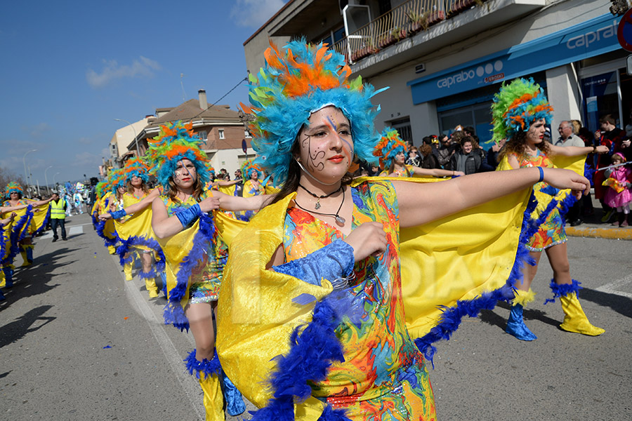 Rua del Carnaval de Santa Margarida i els Monjos 2017. Rua del Carnaval de Santa Margarida i els Monjos 2017