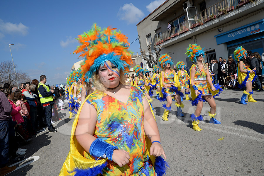 Rua del Carnaval de Santa Margarida i els Monjos 2017. Rua del Carnaval de Santa Margarida i els Monjos 2017