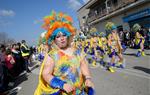 Rua del Carnaval de Santa Margarida i els Monjos 2017