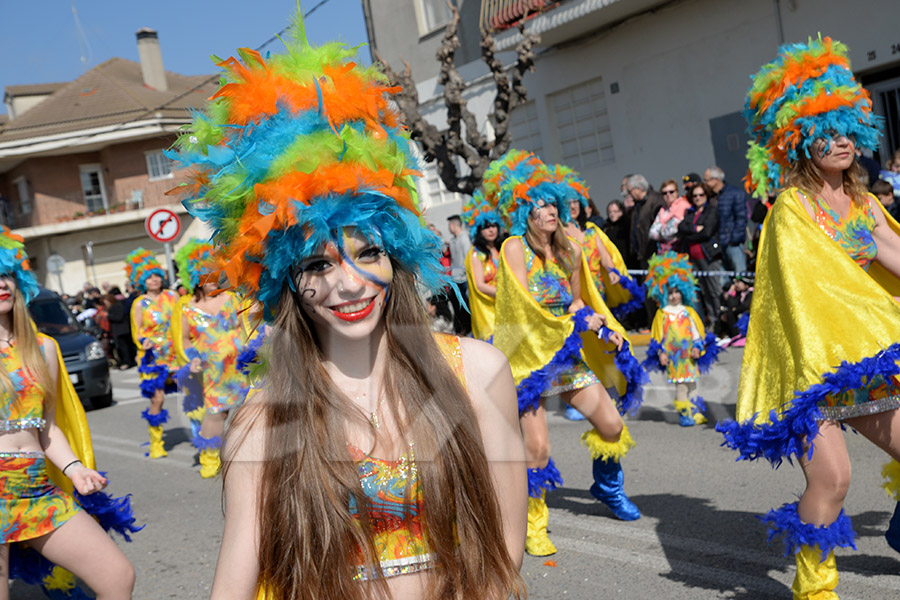 Rua del Carnaval de Santa Margarida i els Monjos 2017. Rua del Carnaval de Santa Margarida i els Monjos 2017