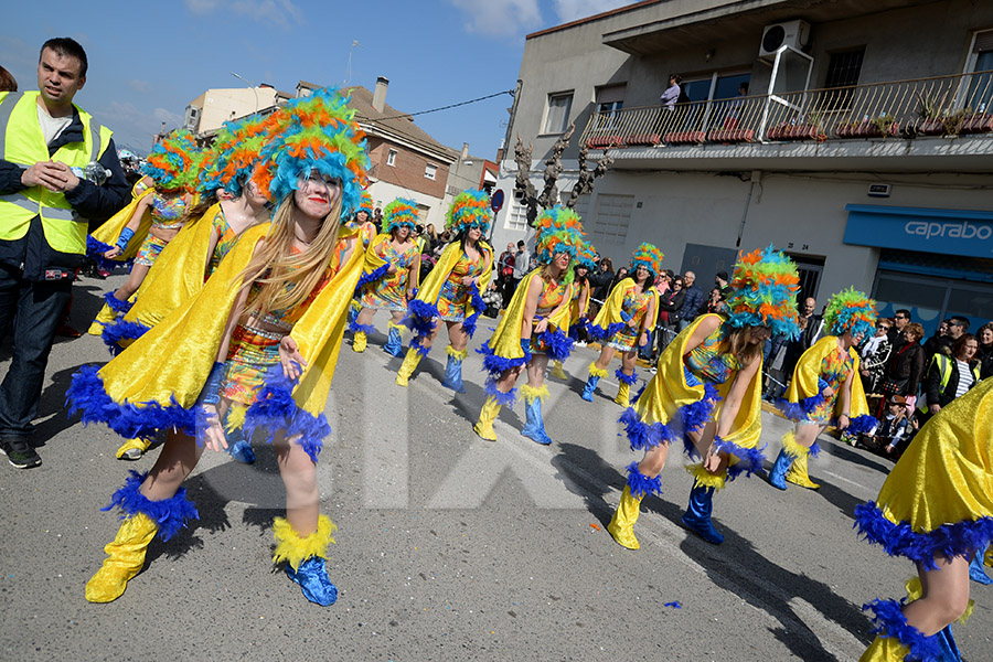 Rua del Carnaval de Santa Margarida i els Monjos 2017