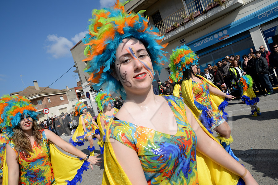 Rua del Carnaval de Santa Margarida i els Monjos 2017. Rua del Carnaval de Santa Margarida i els Monjos 2017
