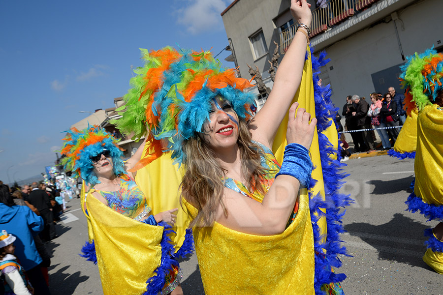 Rua del Carnaval de Santa Margarida i els Monjos 2017. Rua del Carnaval de Santa Margarida i els Monjos 2017