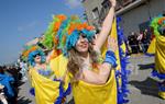 Rua del Carnaval de Santa Margarida i els Monjos 2017