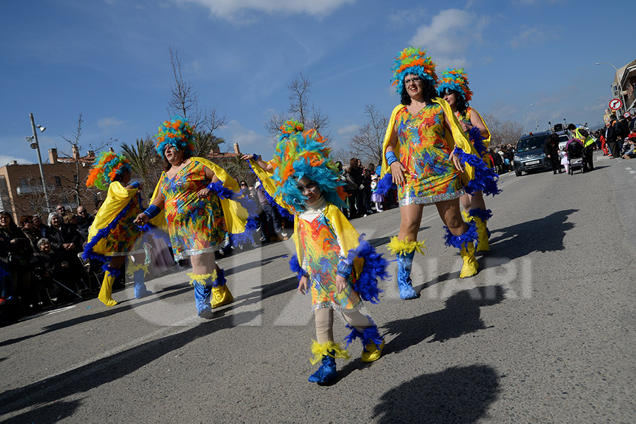 Rua del Carnaval de Santa Margarida i els Monjos 2017. Rua del Carnaval de Santa Margarida i els Monjos 2017